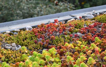 the cost of Ellerhayes green roof installation