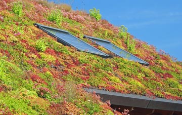 Ellerhayes living roof systems