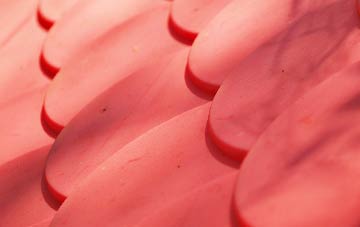 Ellerhayes plastic roof costs